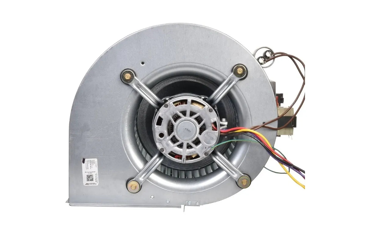 Rheem AS-101931-05 High-Efficiency Blower Assembly