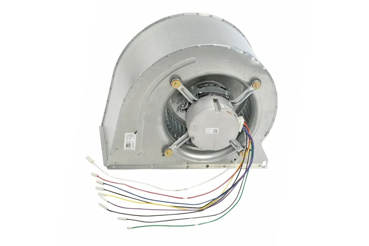 Rheem AS-105809-16 High-Efficiency Blower Assembly