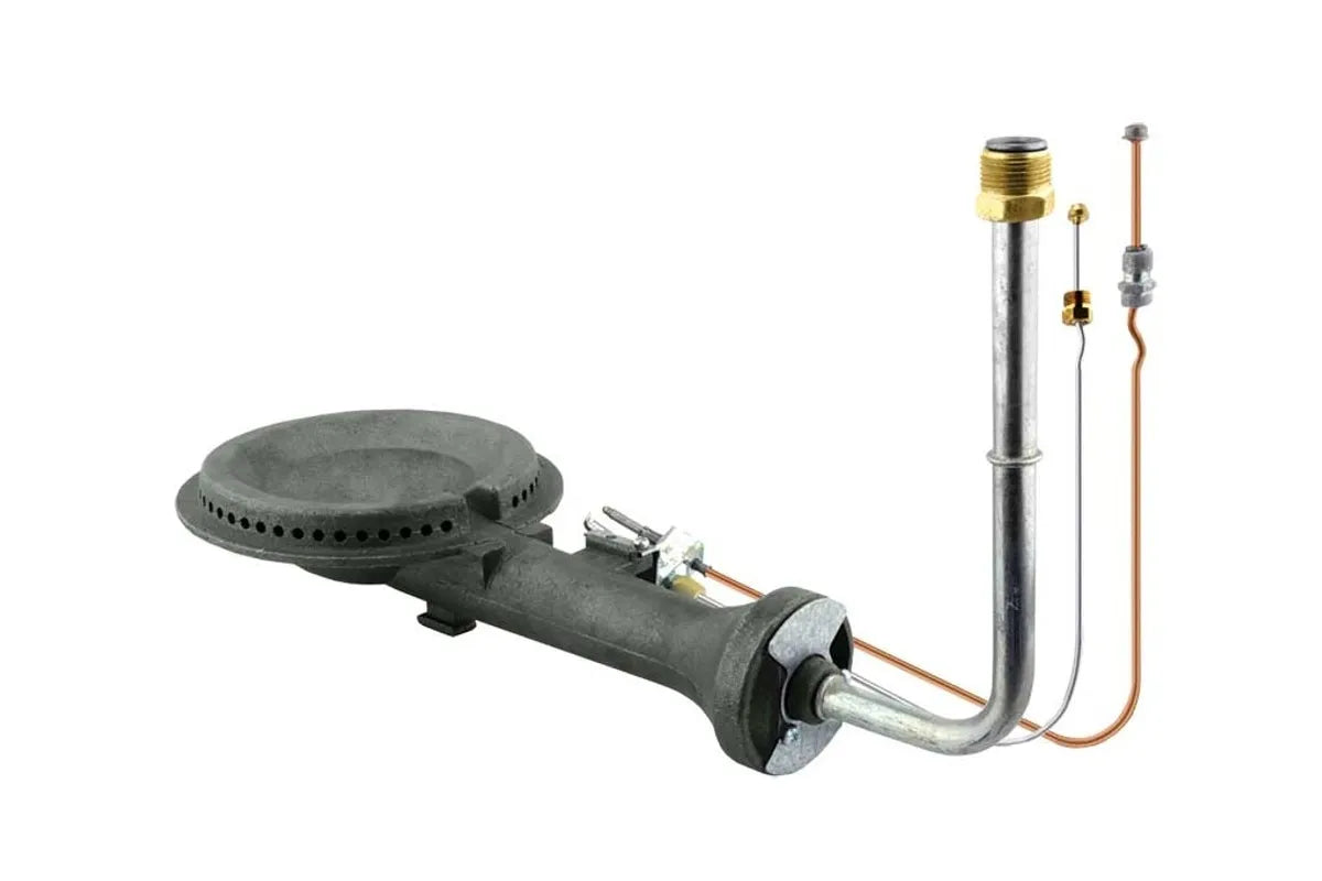 Rheem AS42132 LP Burner/Pilot Assembly, 75 Gallon Capacity