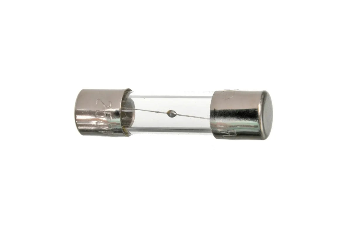Rheem RTG20074EE 3A Power Line Fuse