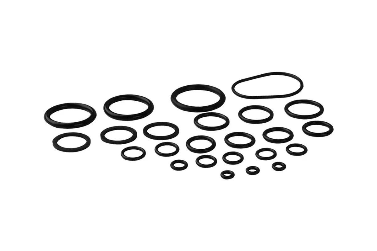 Rheem RTG20206, O-Ring Kit Palona