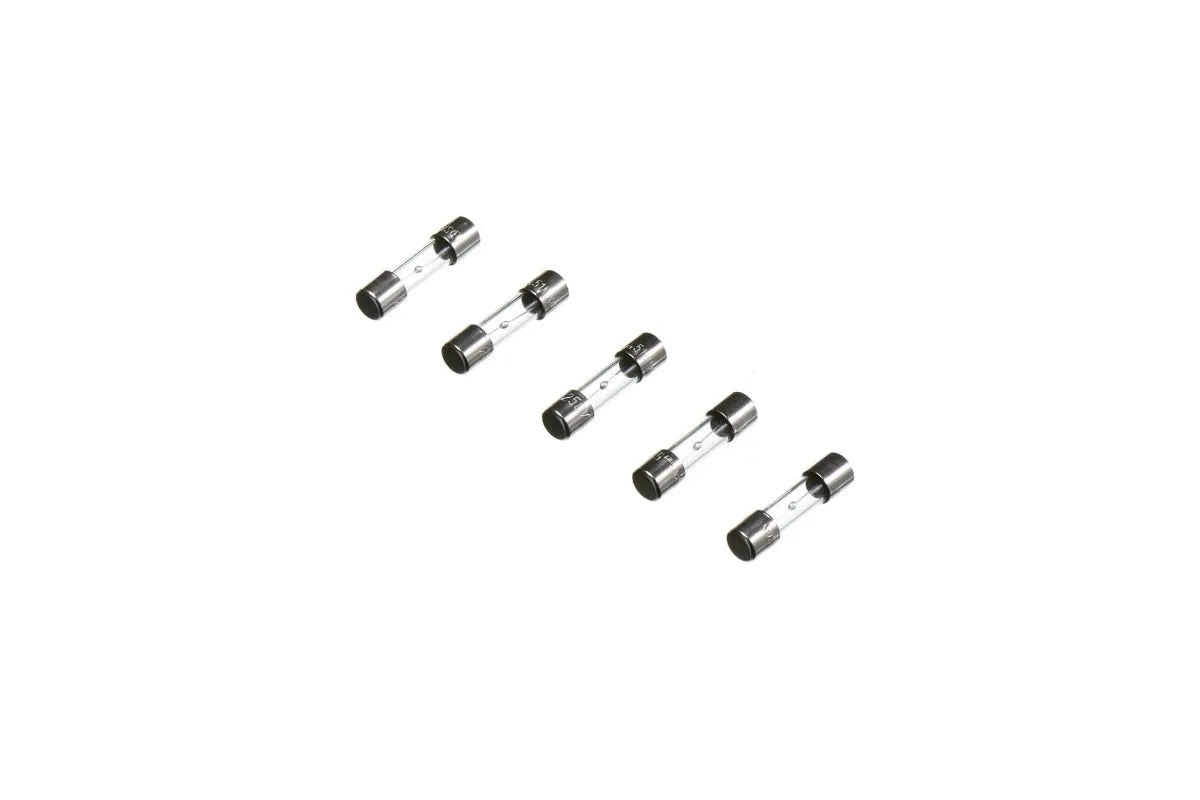 Rheem RTG20239BD 10 Ampere Fuse