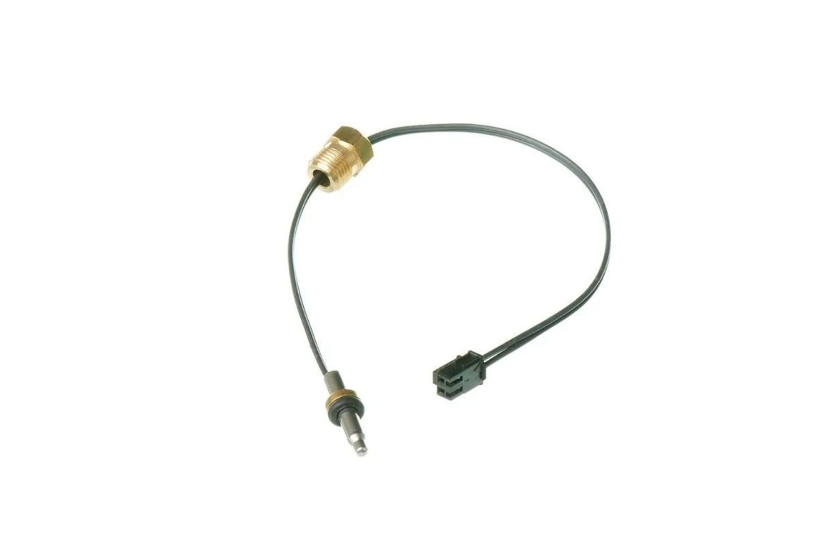 Rheem RTG20299AC High Accuracy Temperature Sensor
