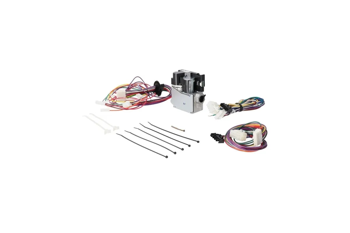 Rheem RXGY-J08 Gas Valve Replacement Kit