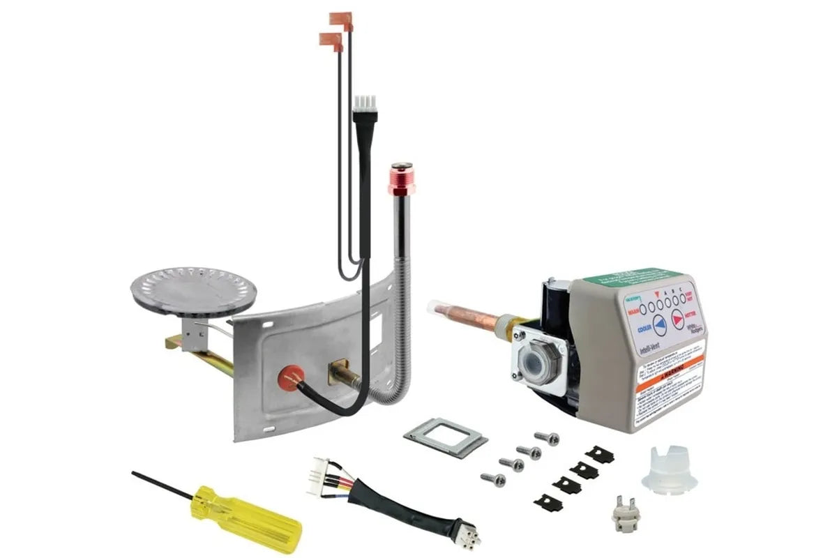 Rheem SP20171D LP Gas Stat and Burner Retrofit Kit