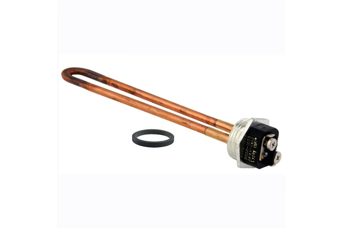 Rheem SP20371 120V, 2000W Conversion Assembly