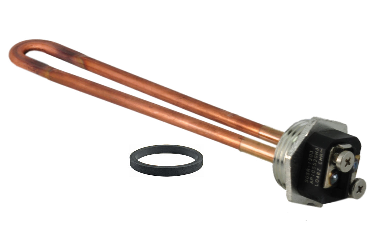 Rheem SP20381 240V/2000W Conversion Kit Assembly
