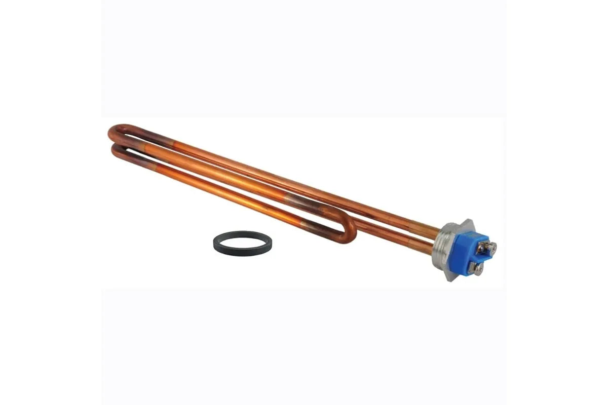 Rheem SP20498 E10 Conversion Kit Assembly