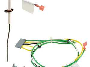 Rheem SP20717 GHE Flame Sensor Kit