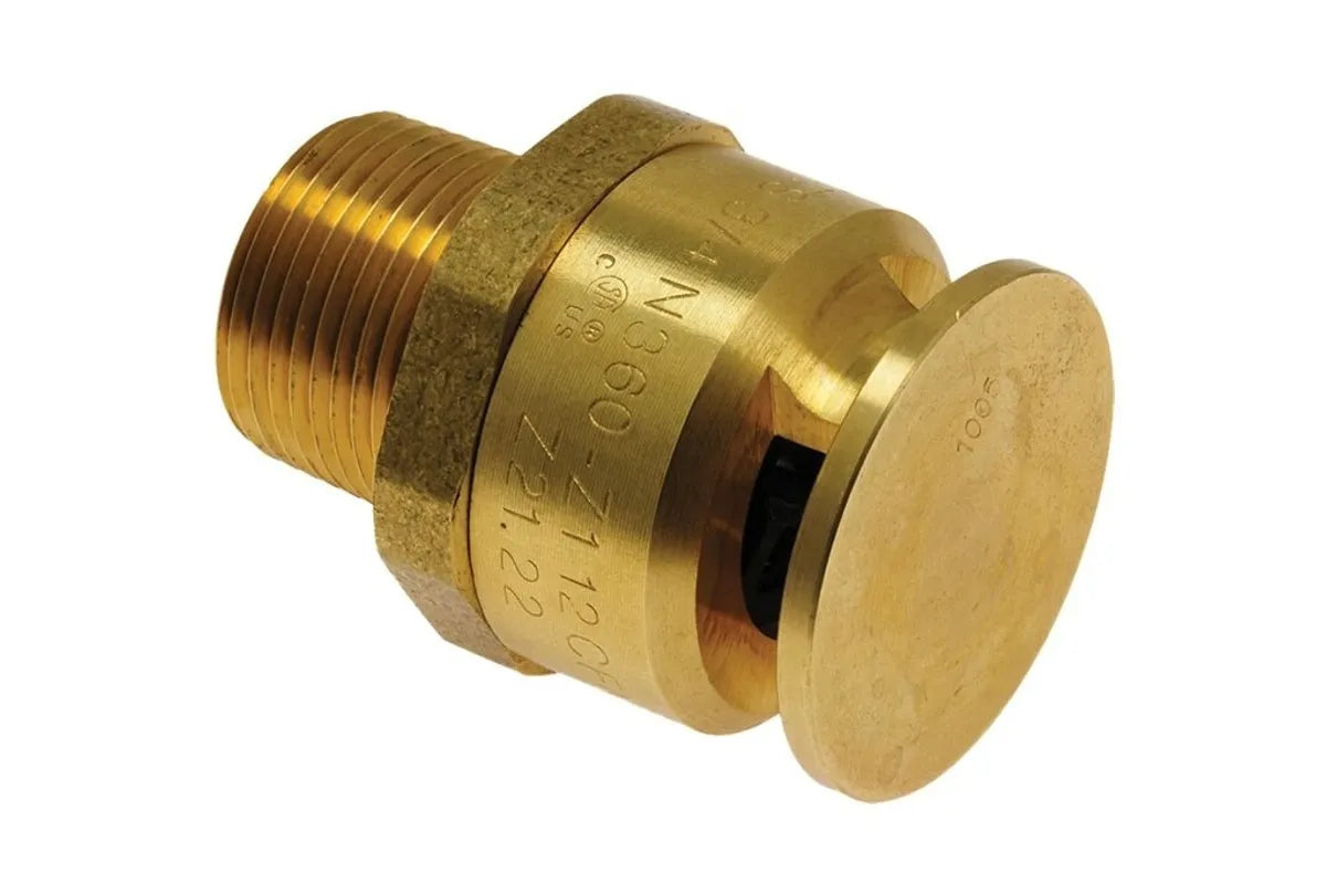 Rheem SP623336 3/4 Inch Lead Free Vacuum Relief Valve