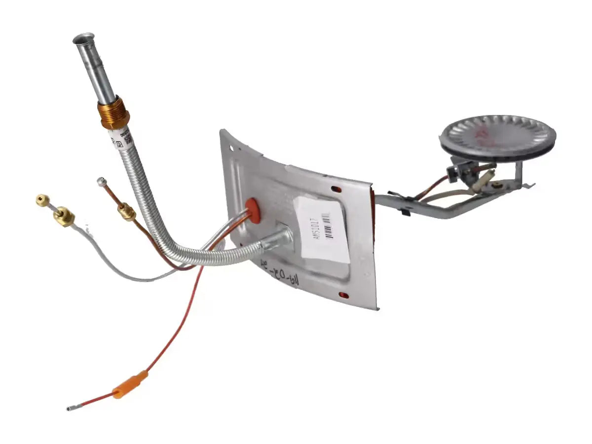 Rheem AM51017, Burner Door Assembly