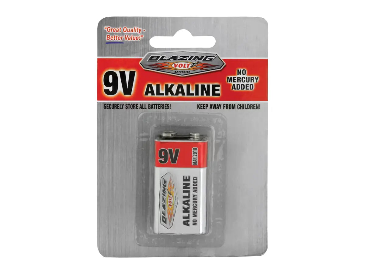 Rheem BV900268, 9 V Alkaline Battery, 1 Pack