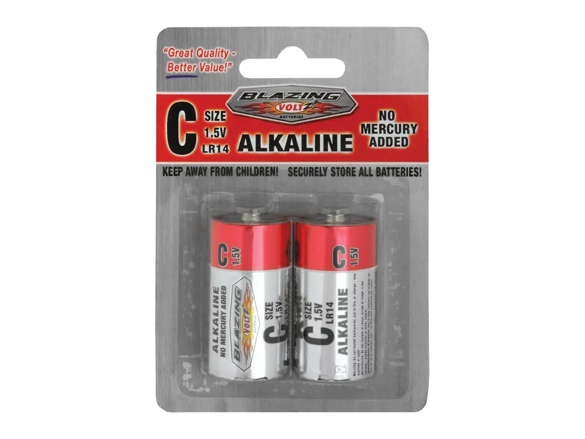 Rheem BV900269, C Alkaline Batteries - 2 Pack