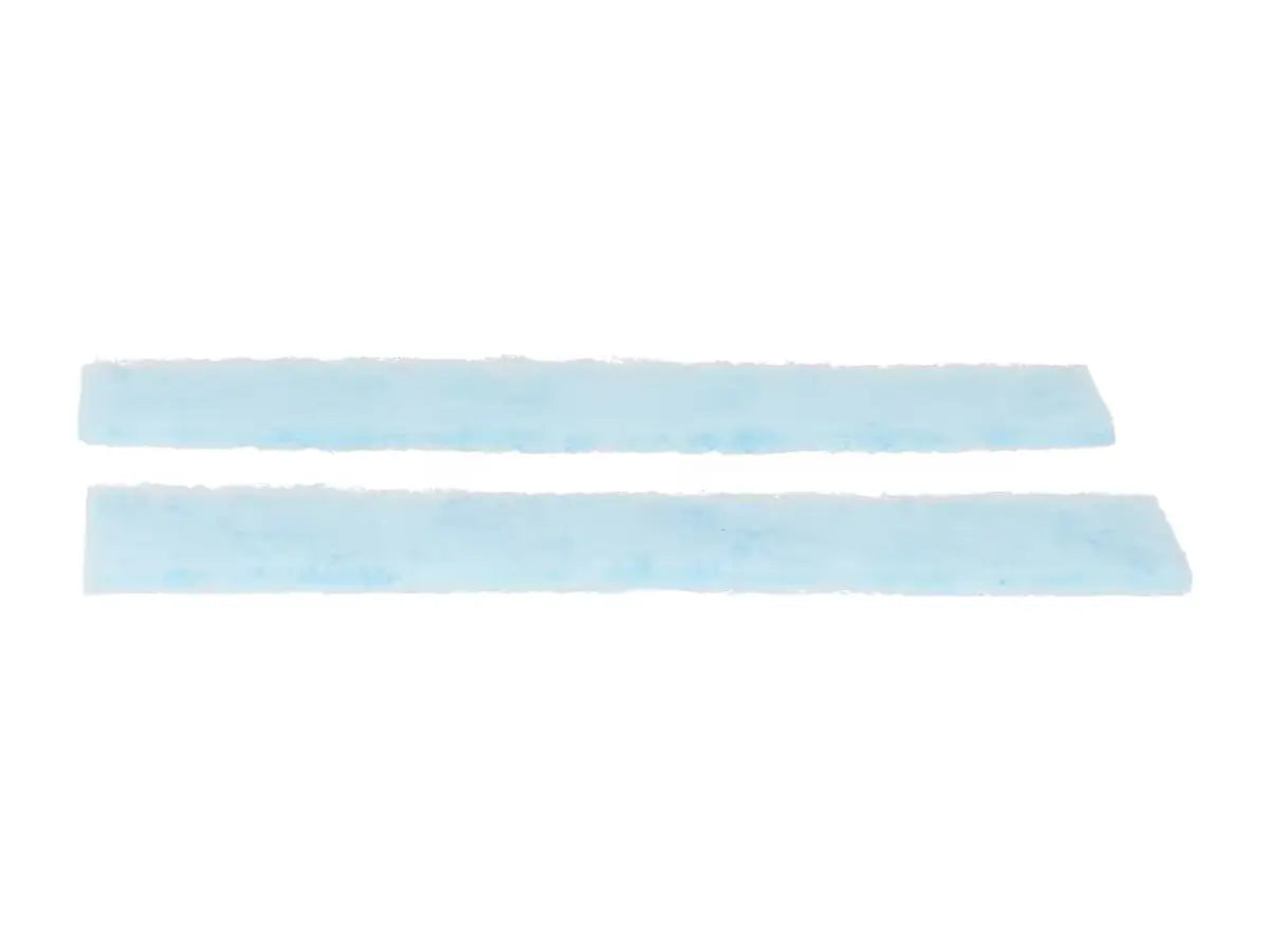 Rheem K9315361042, Ion Deodorant Filter (2 Pcs)