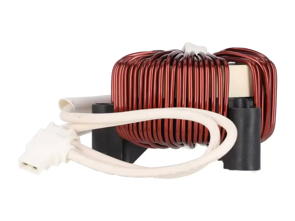 Rheem K9900624019, Choke Coil