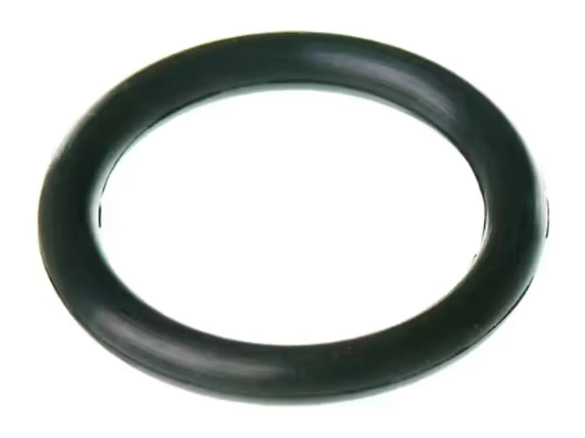 Rheem RTG20000N, O-Ring P-22.4 Pack Of 5