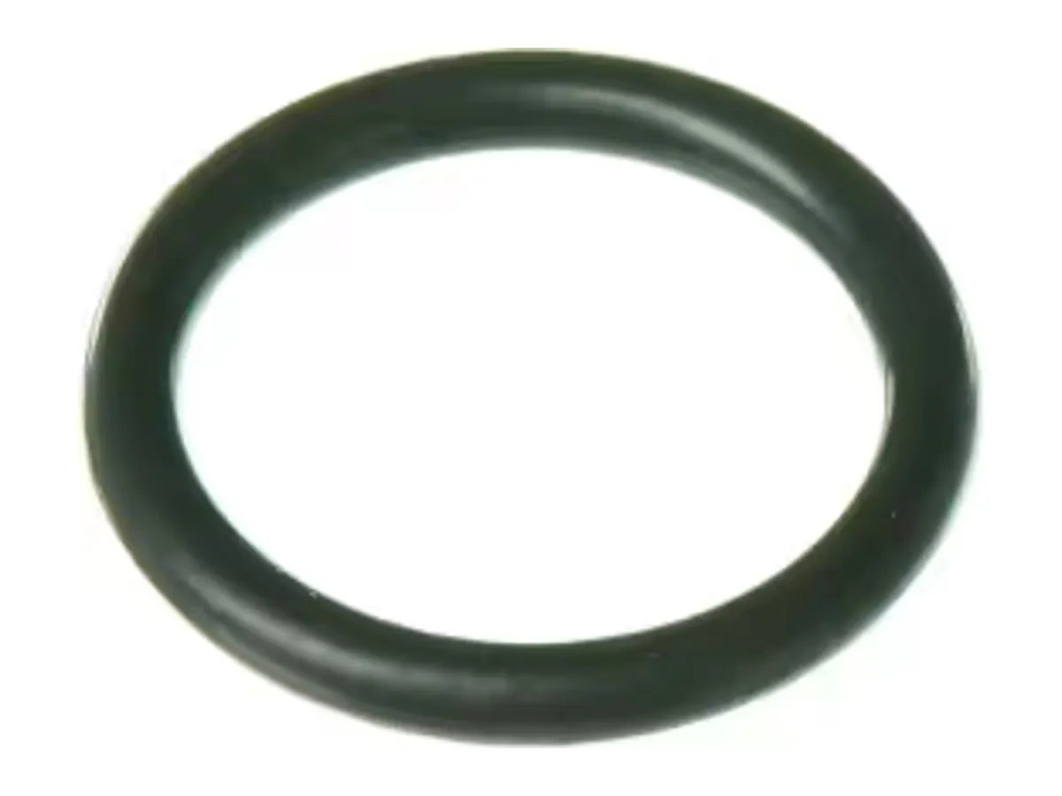 Rheem RTG20000P, O-Ring P-18 Pack Of 5