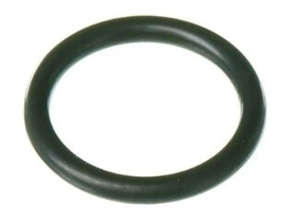 Rheem RTG20299AN, P16 O Ring