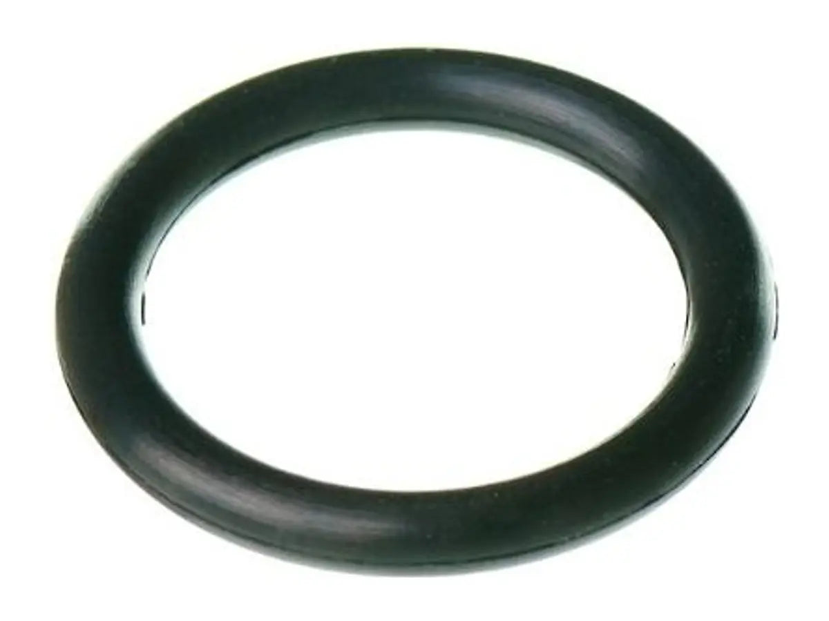 Rheem RTG20316BY, P22A O Ring