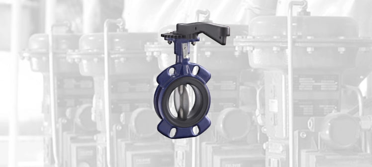 spartan-valves-butterfly-valves.webp