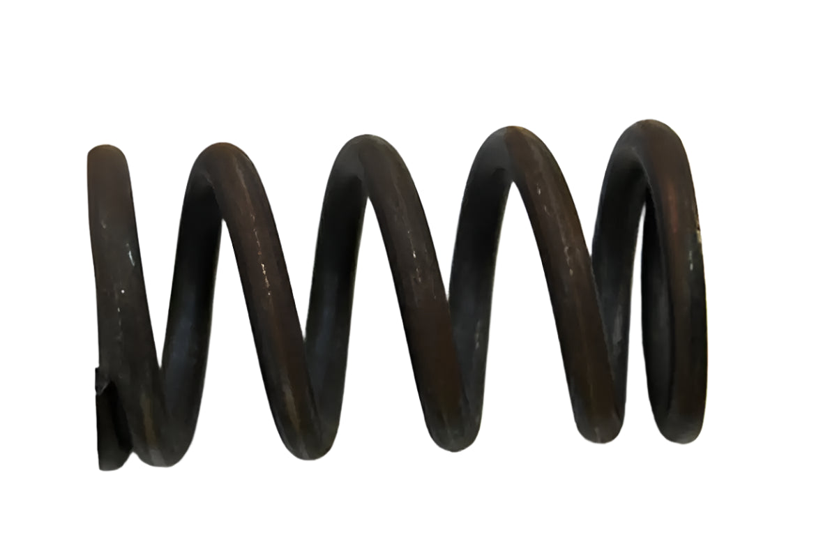 Spence 05-09110-00 Main Spring