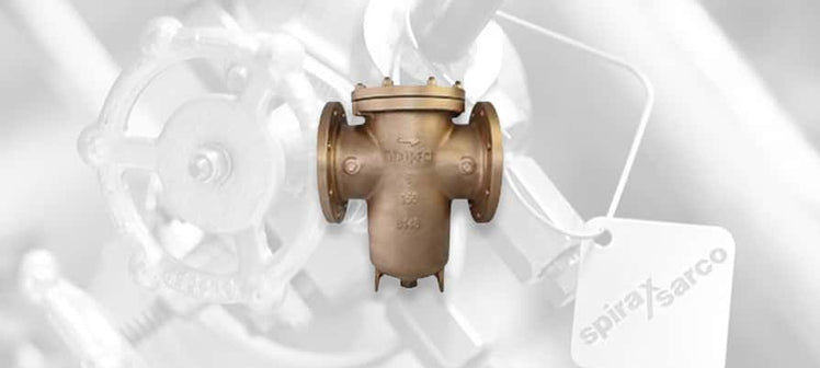 spirax-sarco-733-strainers.jpg