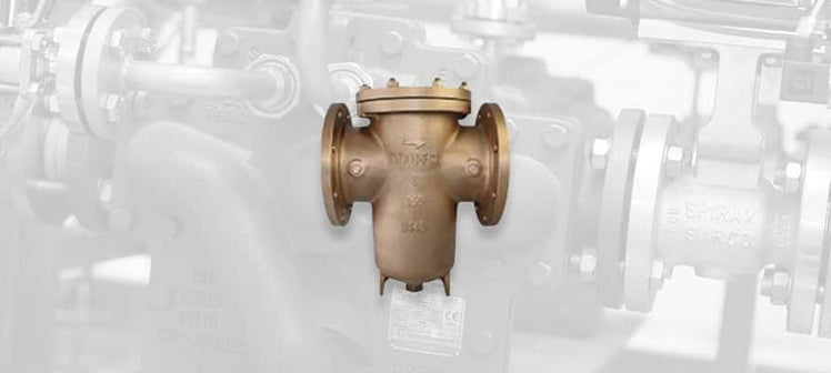 spirax-sarco-734-strainers.jpg