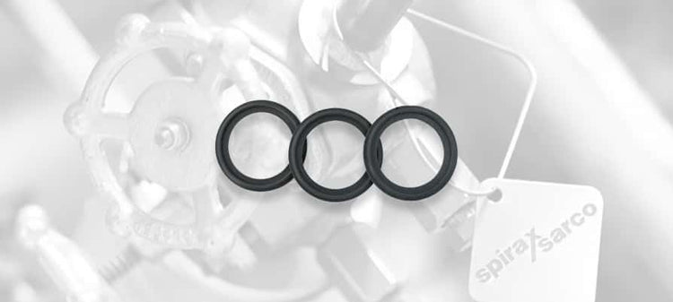 Spirax Sarco Air Vent Gaskets