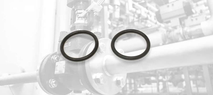 spirax-sarco-ball-valve-o-rings.jpg