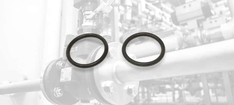Spirax Sarco Ball Valve O-Rings