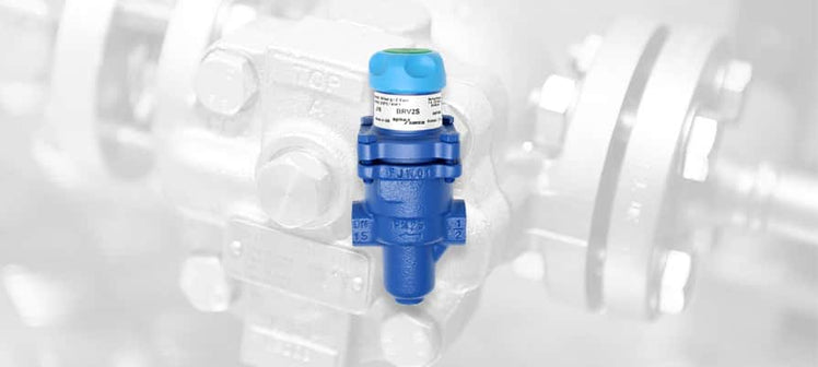 spirax-sarco-brv2b-brv2s-prvs.jpg