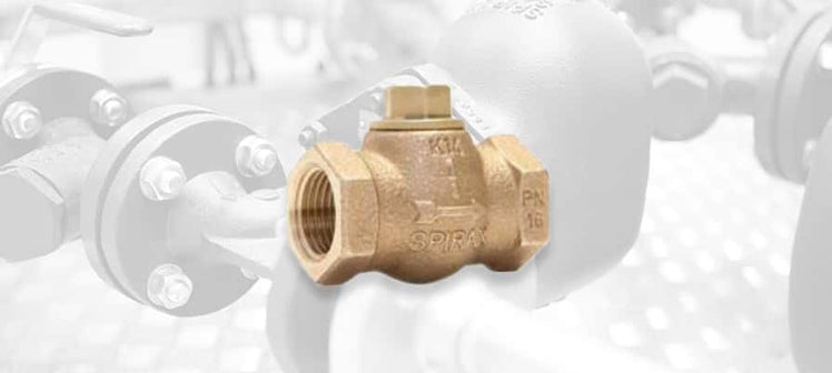 spirax-sarco-lcv1-check-valves.jpg