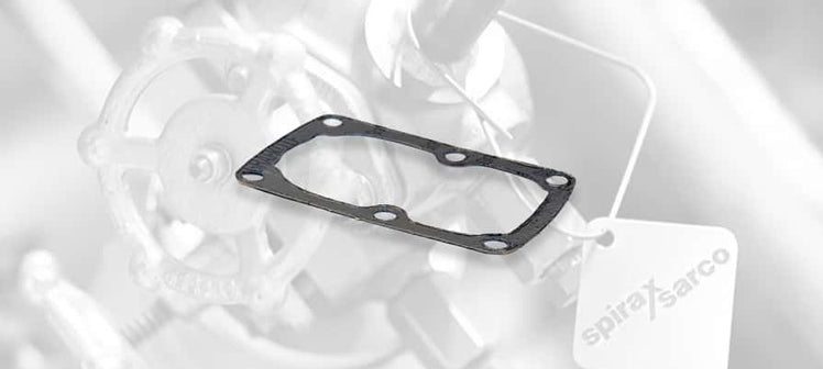 spirax-sarco-liquid-drain-trap-gaskets.jpg