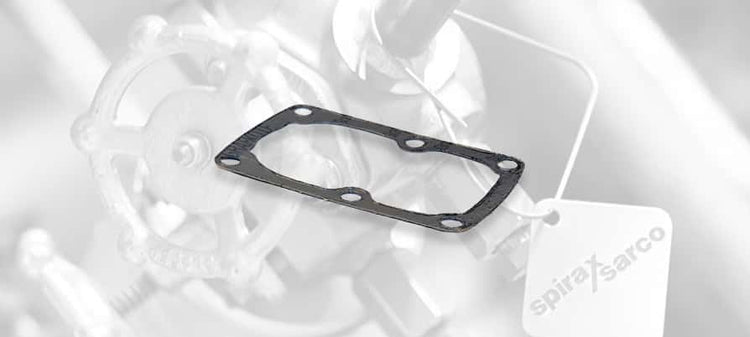 Spirax Sarco Liquid Drain Trap Gasket Kits