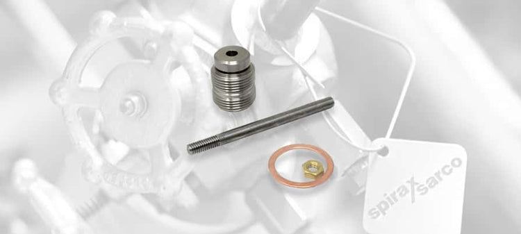 Spirax Sarco Pilot-Operated Pressure Reducing Valve Stem & Guide Kits