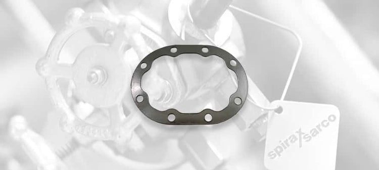 Spirax Sarco Pump Trap Gaskets