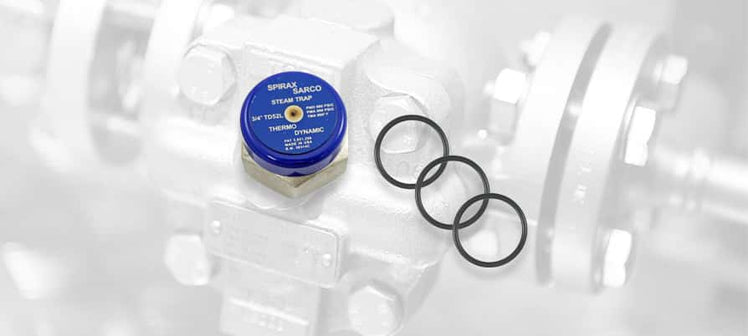 spirax-sarco-steam-trap-cap-o-ring-kits.jpg