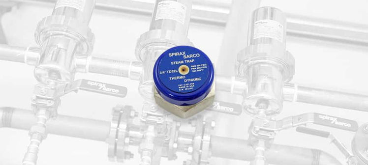 spirax-sarco-steam-trap-caps.jpg