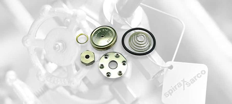 spirax-sarco-steam-trap-capsule-seats.jpg
