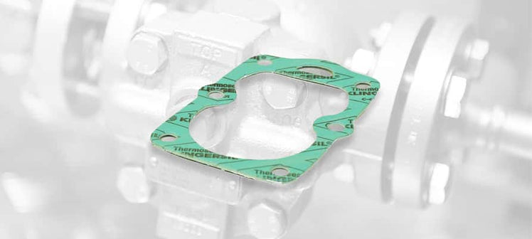 spirax-sarco-steam-trap-gaskets.jpg