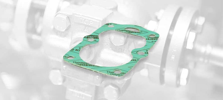 Spirax Sarco Steam Trap Gaskets