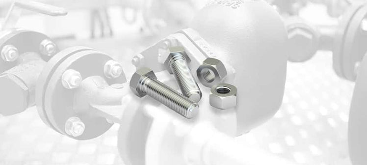 spirax-sarco-steam-trap-nuts-bolts.jpg