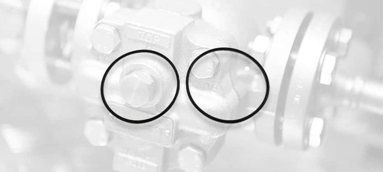 spirax-sarco-strainer-gaskets.jpg