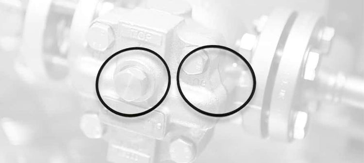 Spirax Sarco Strainer Cap Gaskets