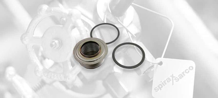 Spirax Sarco Temperature Control Valve Bellows & Rod Assemblies