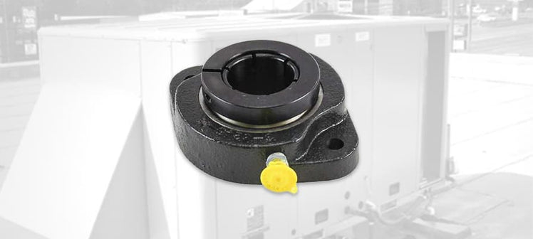 trane-bearings.jpg