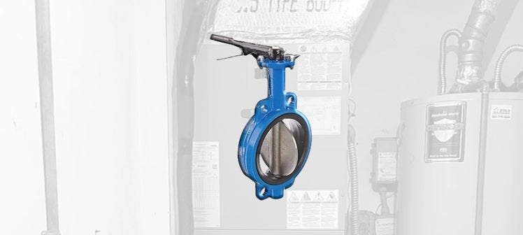 trane-butterfly-valves.webp