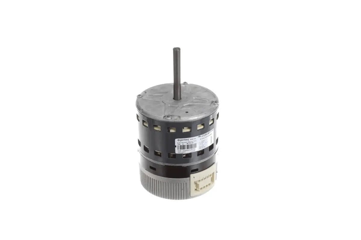 Trane MOT13981, Motor