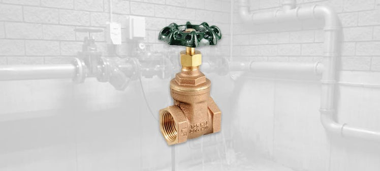 watts-gate-valves.jpg