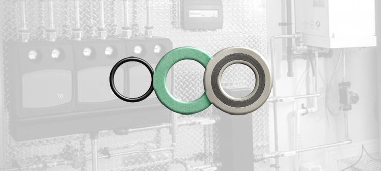 watts-seals-gaskets.webp